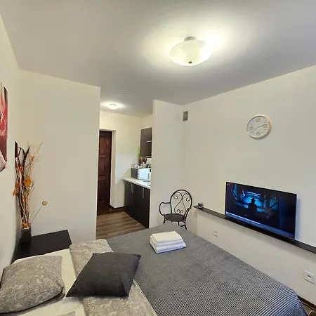 Studio Apartment Red Apple Klaipeda Exterior photo